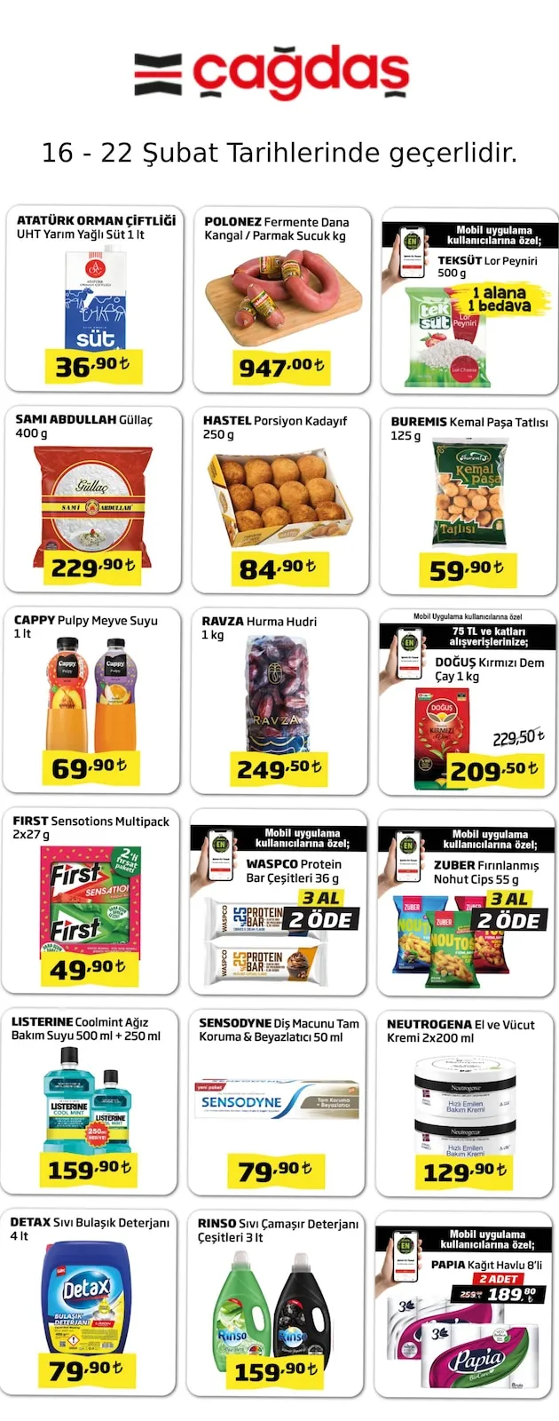 Çağdaş Broşür Kapak