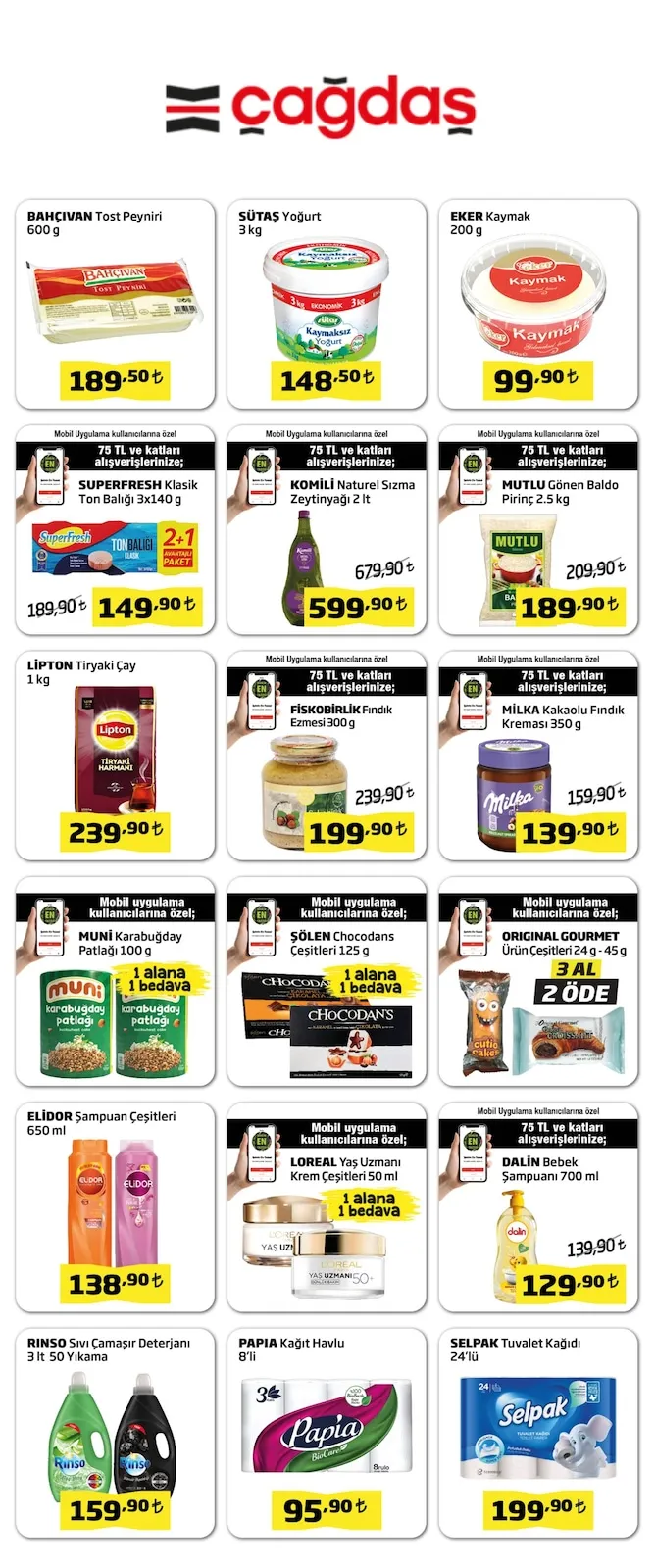 Çağdaş Broşür Kapak