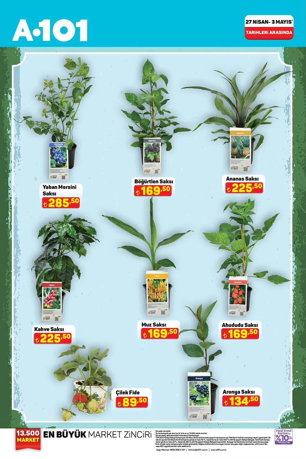 A101 A101 27 Nisan 2026 Aktüel Kataloğu sayfa 1: Kahve Saksı, Aronya Saksı