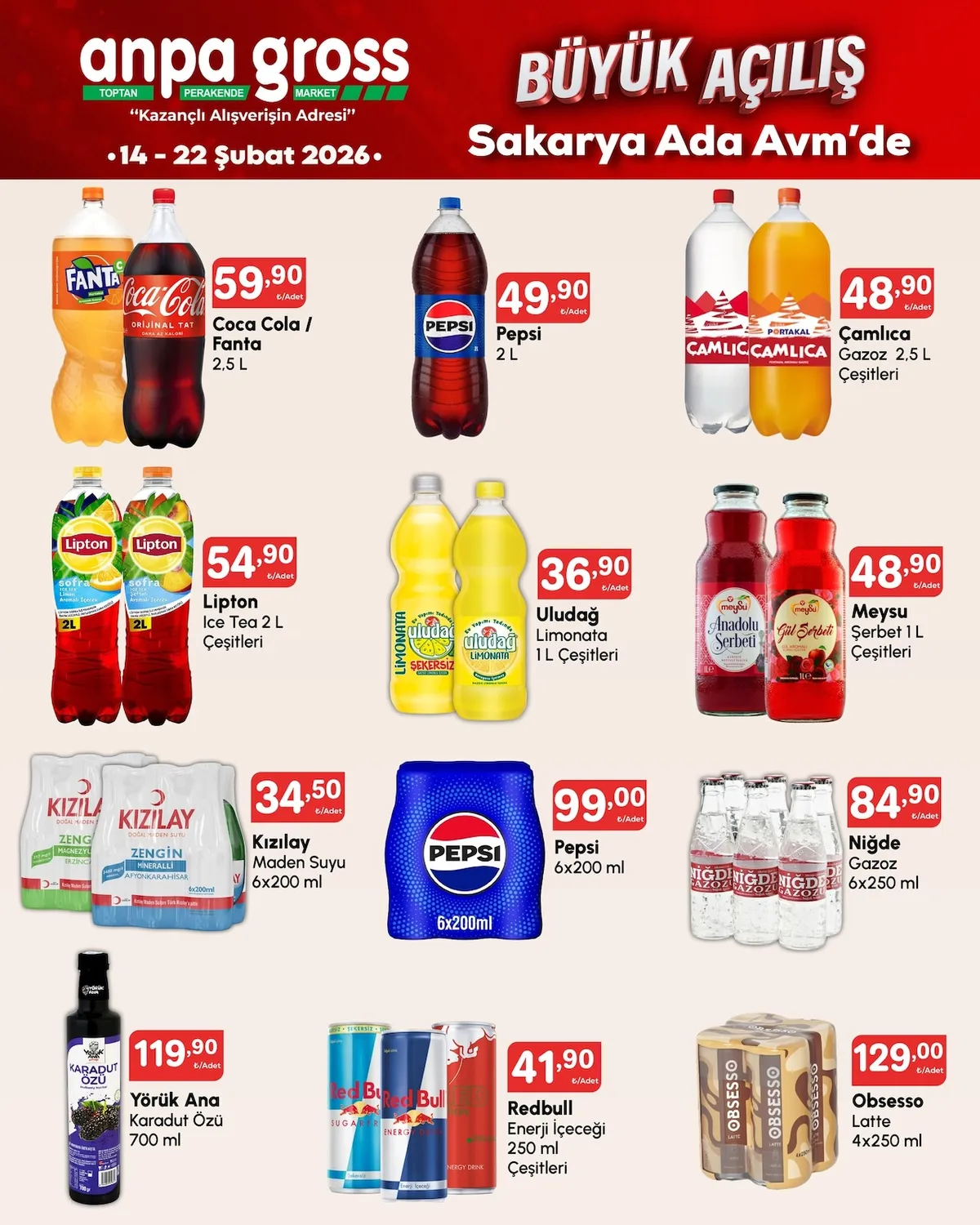 Anpa Anpa Gross 14 Şubat 2026 Aktüel Kataloğu sayfa 8: Niğde Gazoz 6X250 Ml, Yörük Ana Karadut Özü 700 Ml