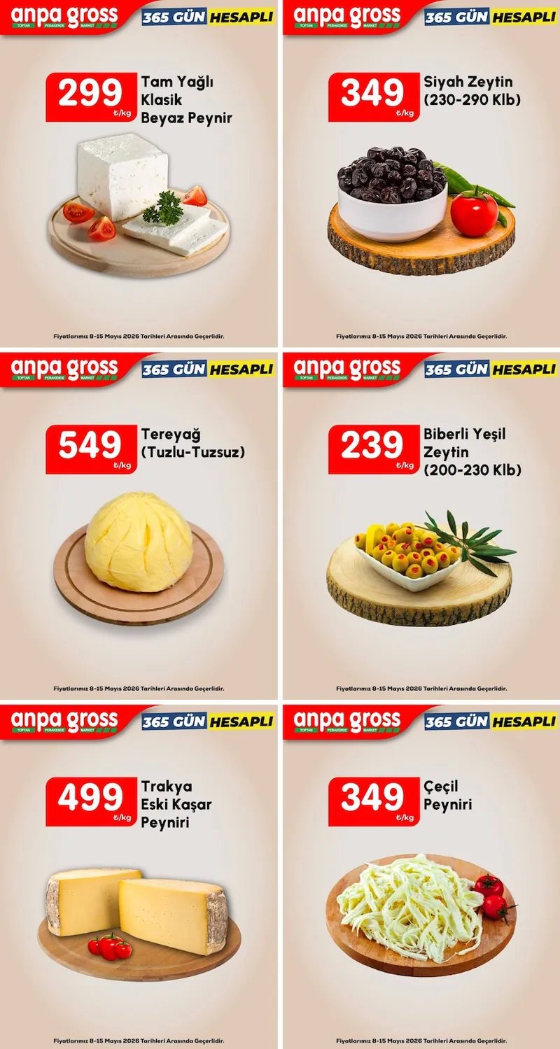 Anpa Broşür Kapak