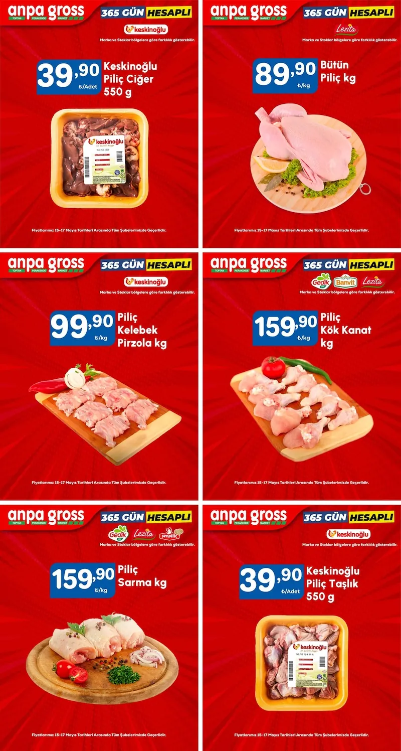 Anpa Broşür Kapak