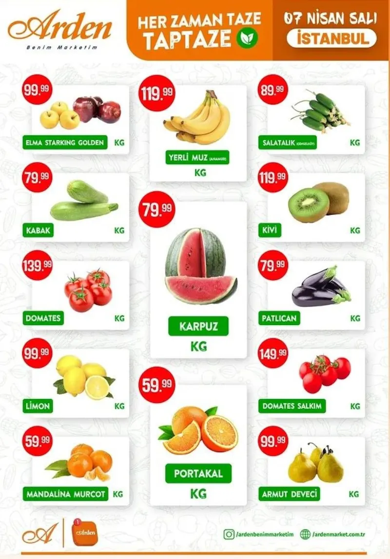 Arden Broşür Kapak