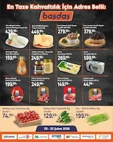Başdaş Broşür Kapak