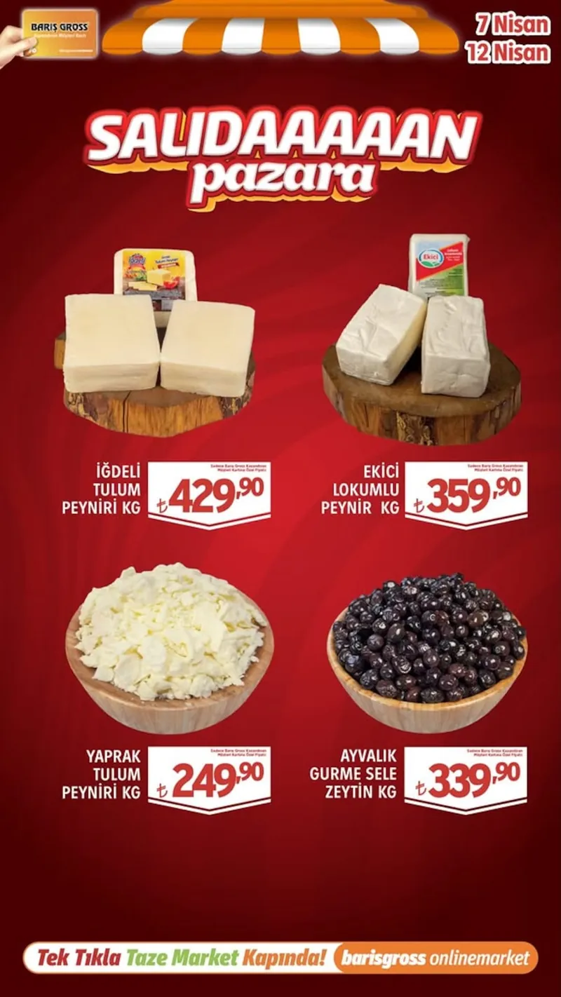 Barış Broşür Kapak