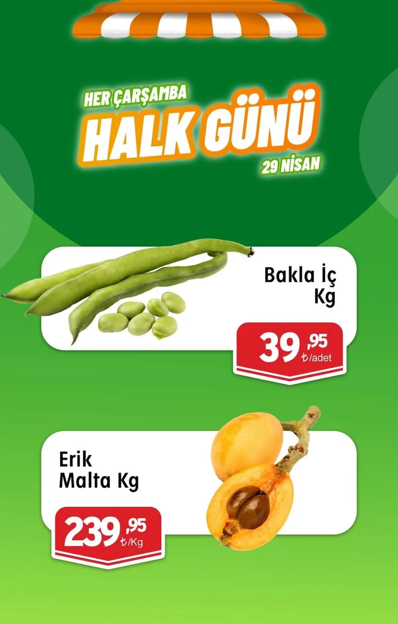 Barış Broşür Kapak