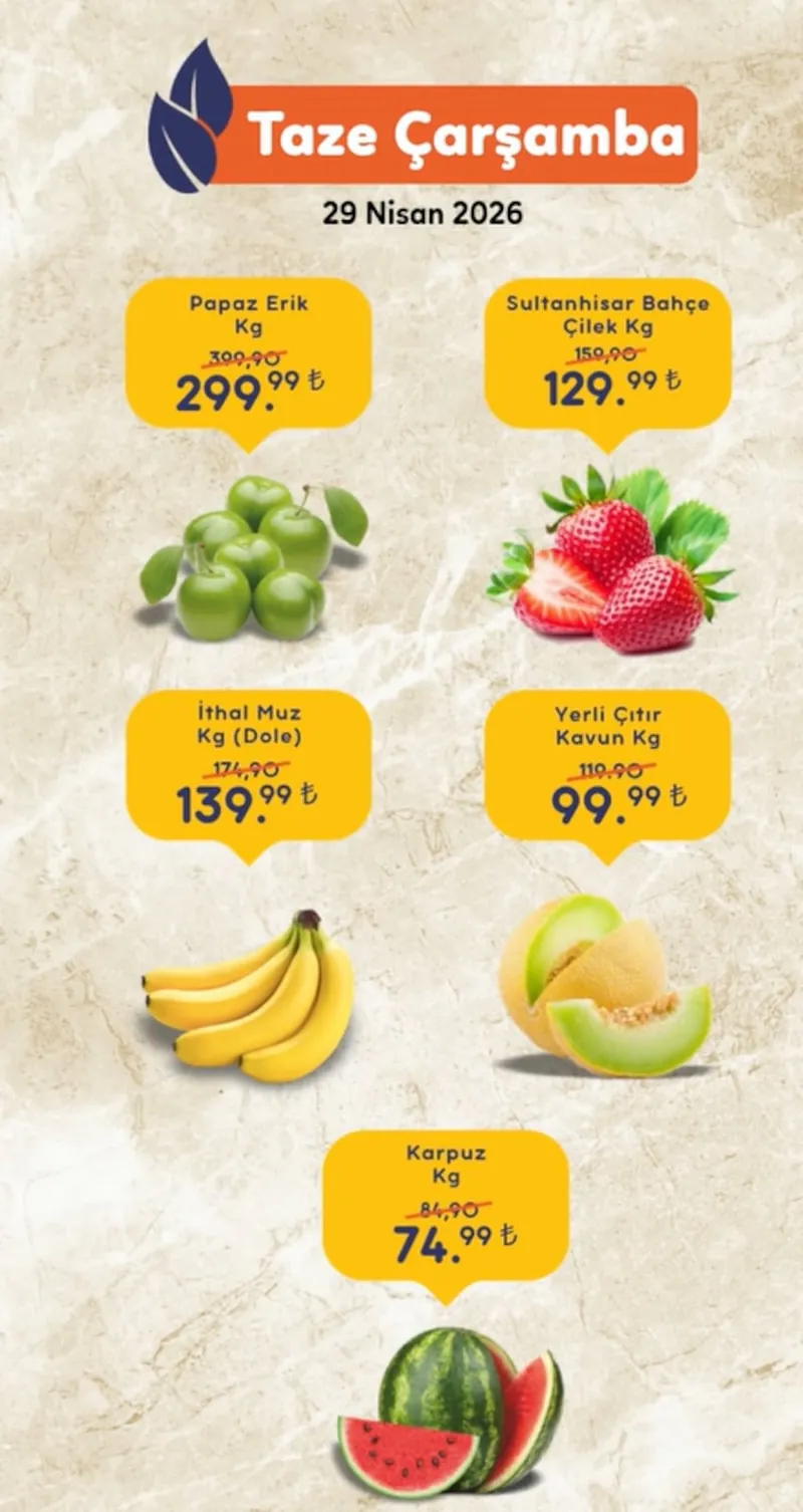 Başdaş Broşür Kapak