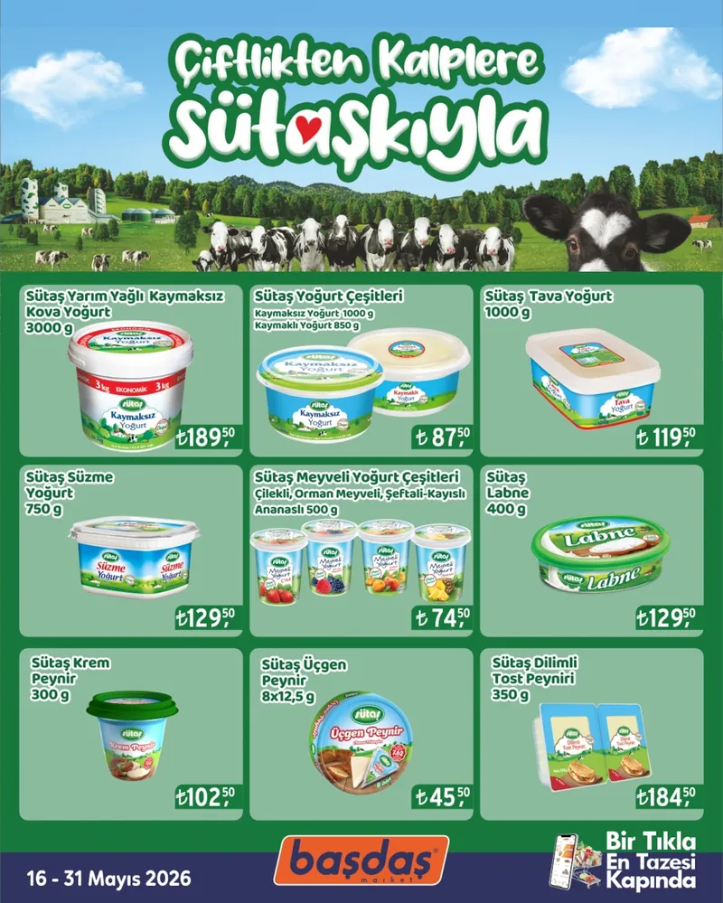Başdaş Broşür Kapak