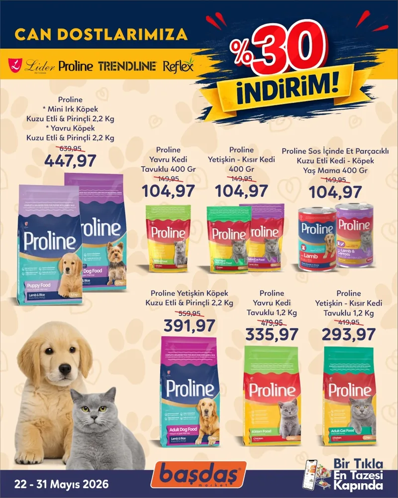 Başdaş Broşür Kapak