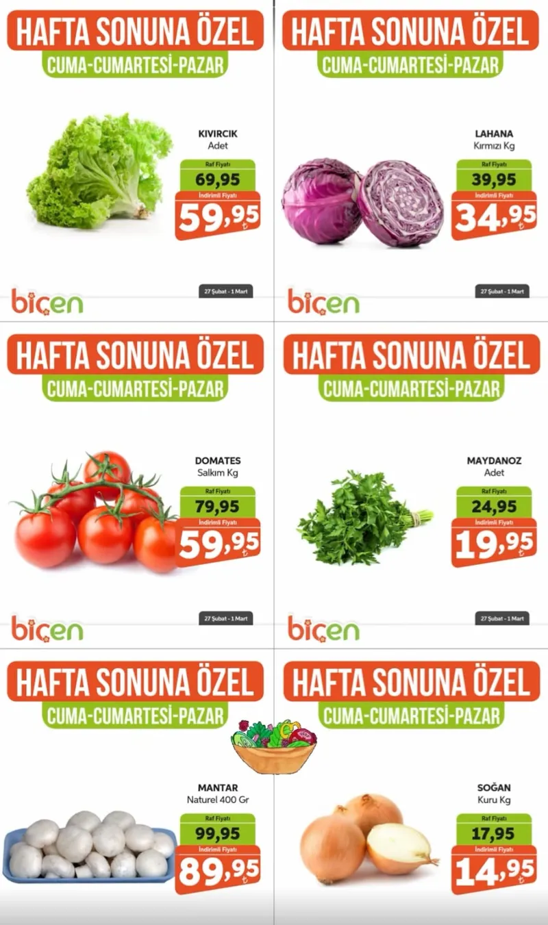 Biçen Broşür Kapak