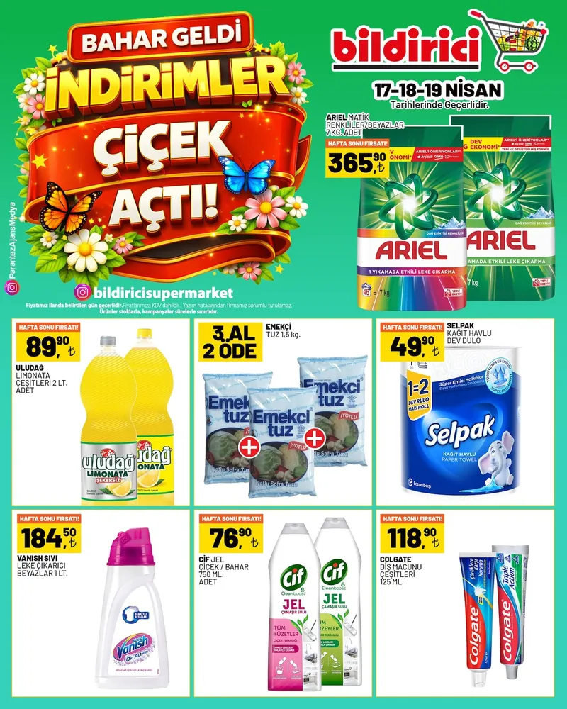 Bildirici Broşür Kapak