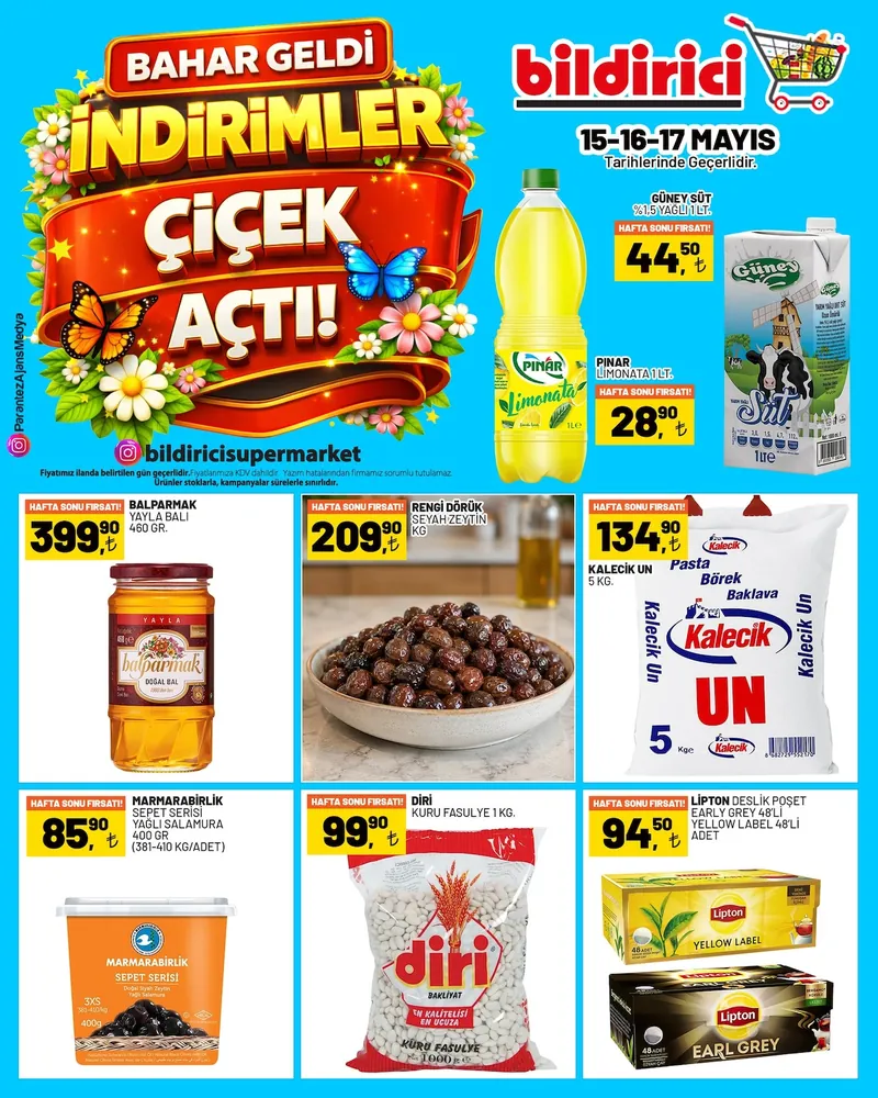 Bildirici Broşür Kapak