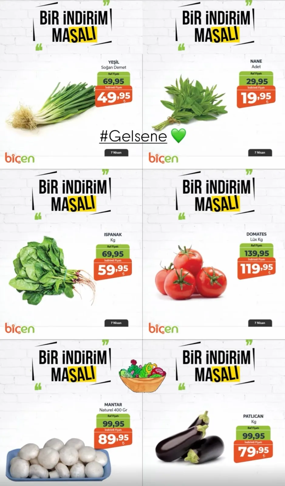 Biçen Sayfa 3