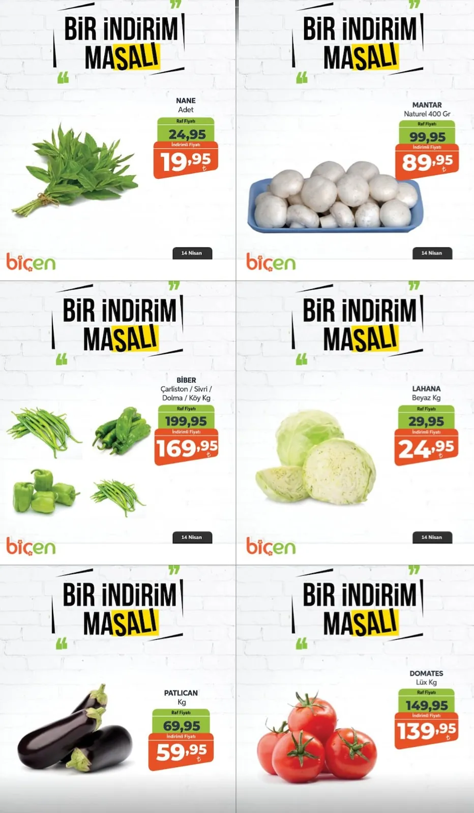 Biçen Sayfa 2
