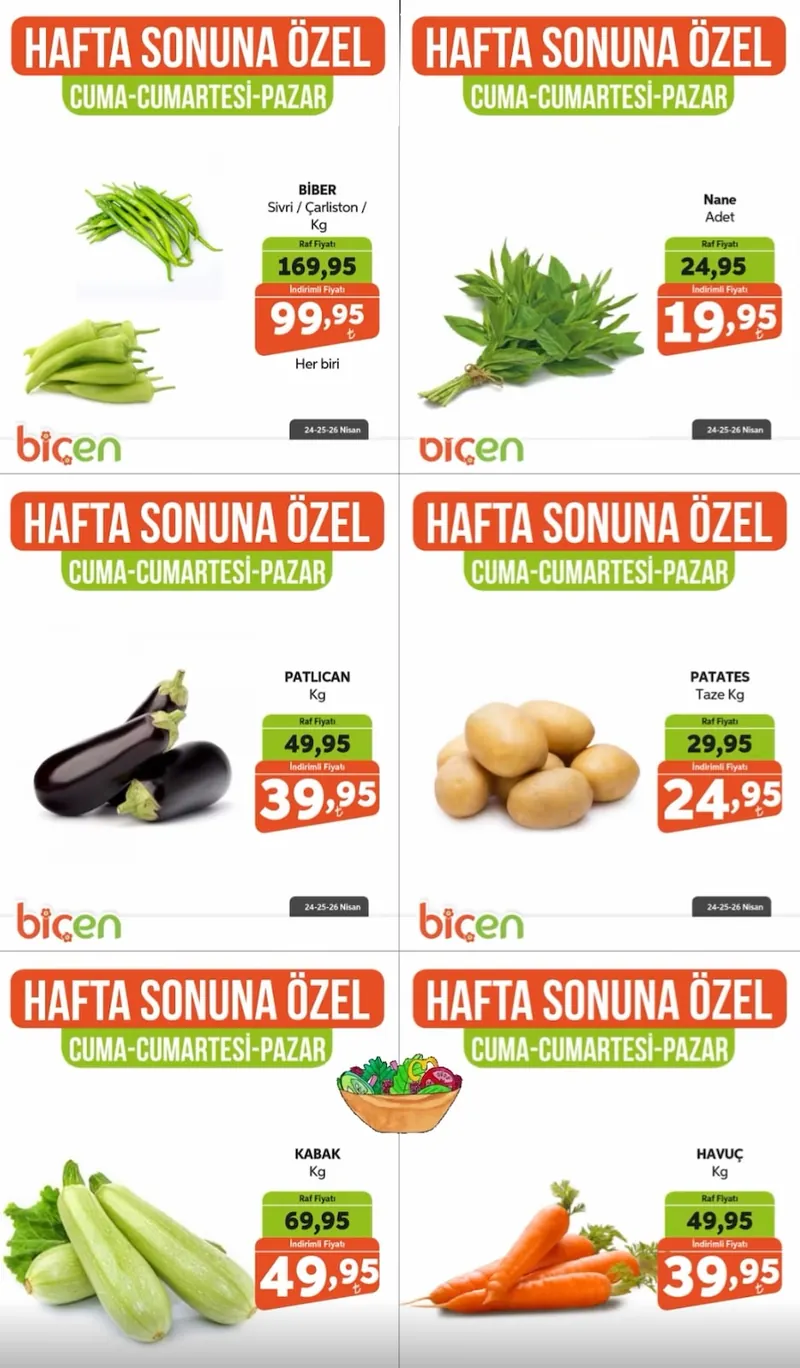 Biçen Broşür Kapak