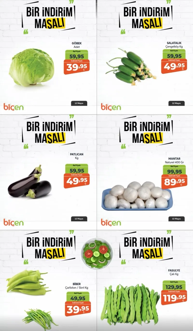 Biçen Broşür Kapak