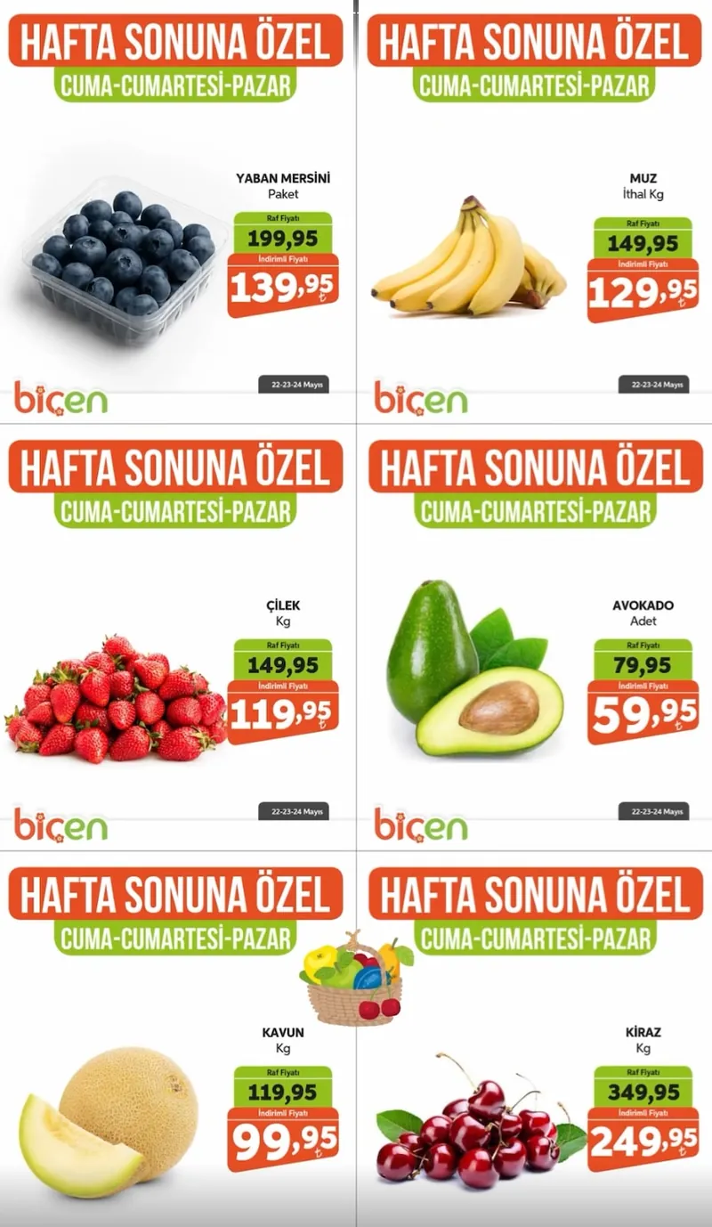 Biçen Broşür Kapak