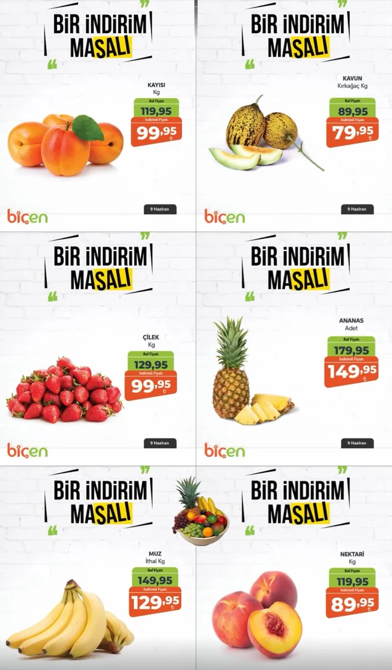 Biçen Broşür Kapak