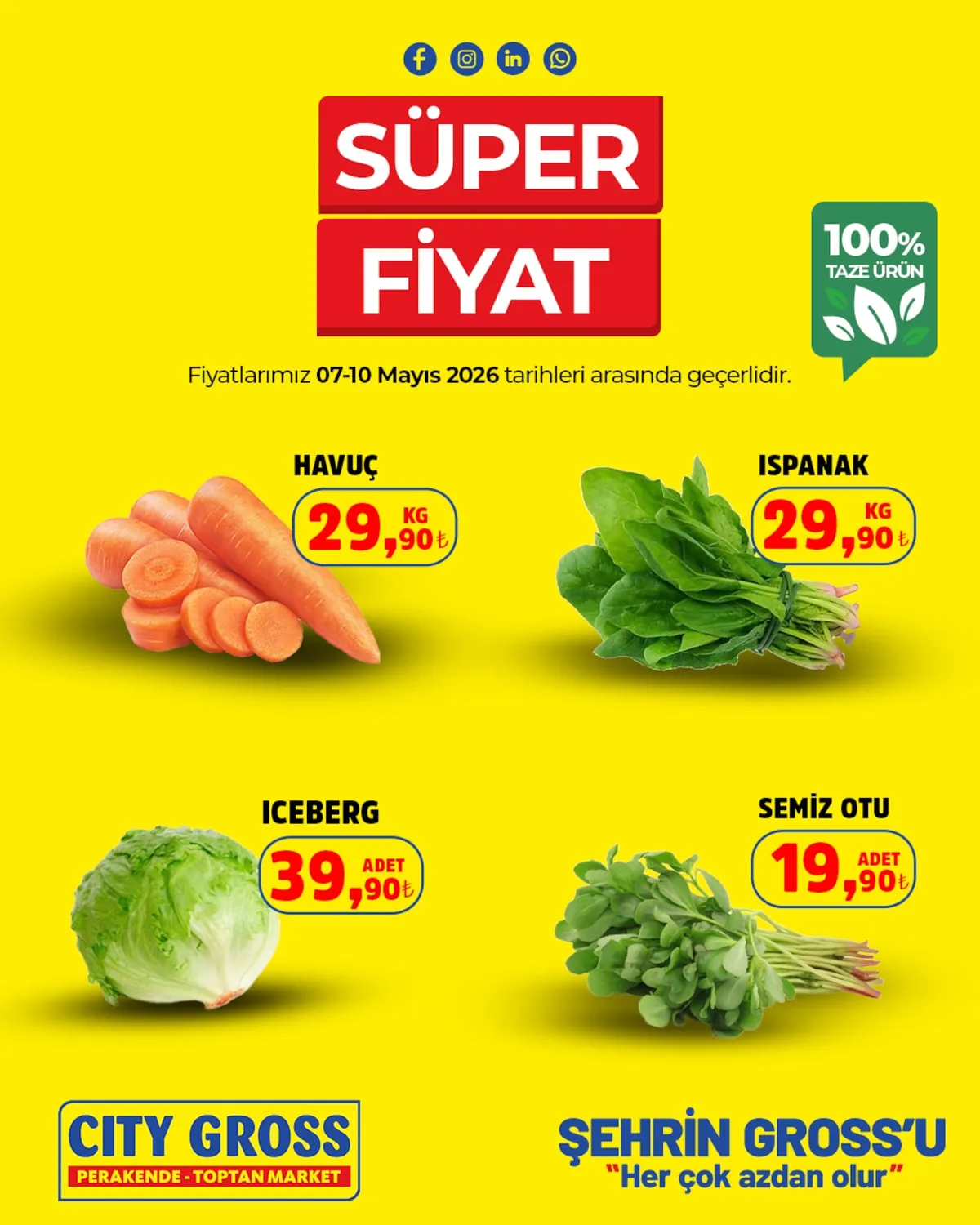 City City Gross 7 Mayıs 2026 Aktüel Kataloğu sayfa 3: Semiz Otu 1 Adet, Ispanak 1 Kg