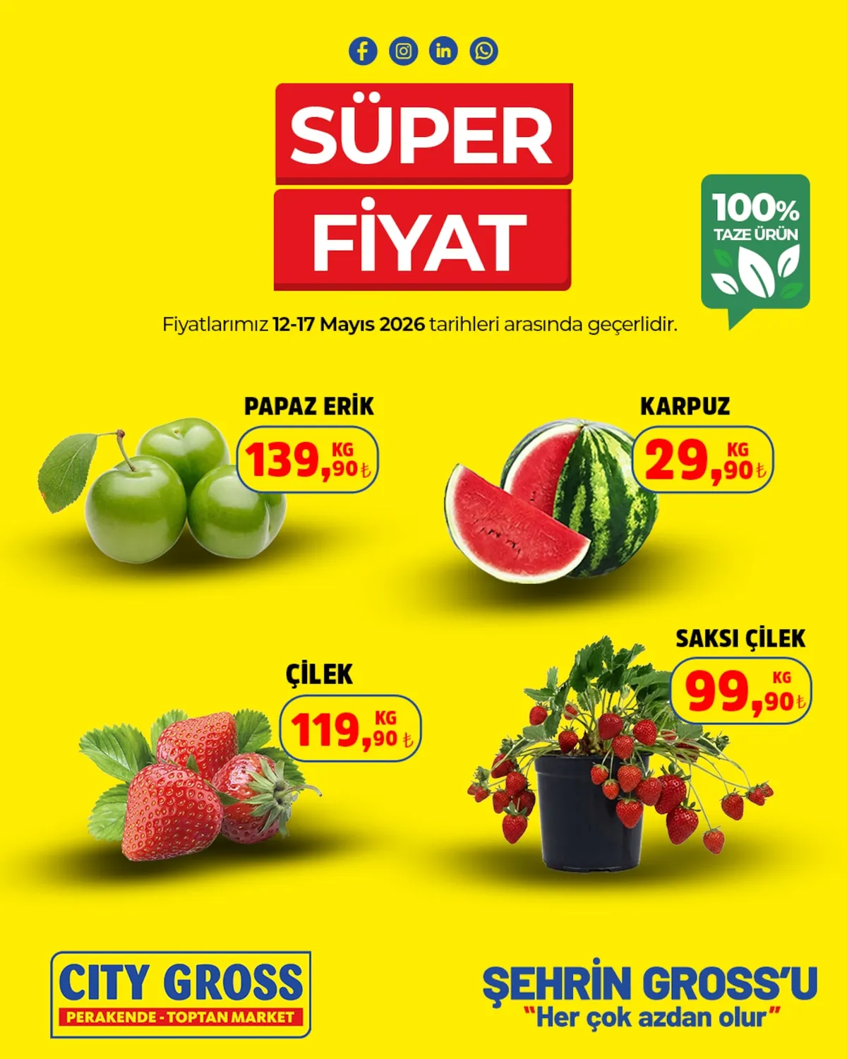 City City Gross 12 Mayıs 2026 Aktüel Kataloğu sayfa 1: Çilek 1 Kg, Saksi Çilek 1 Kg