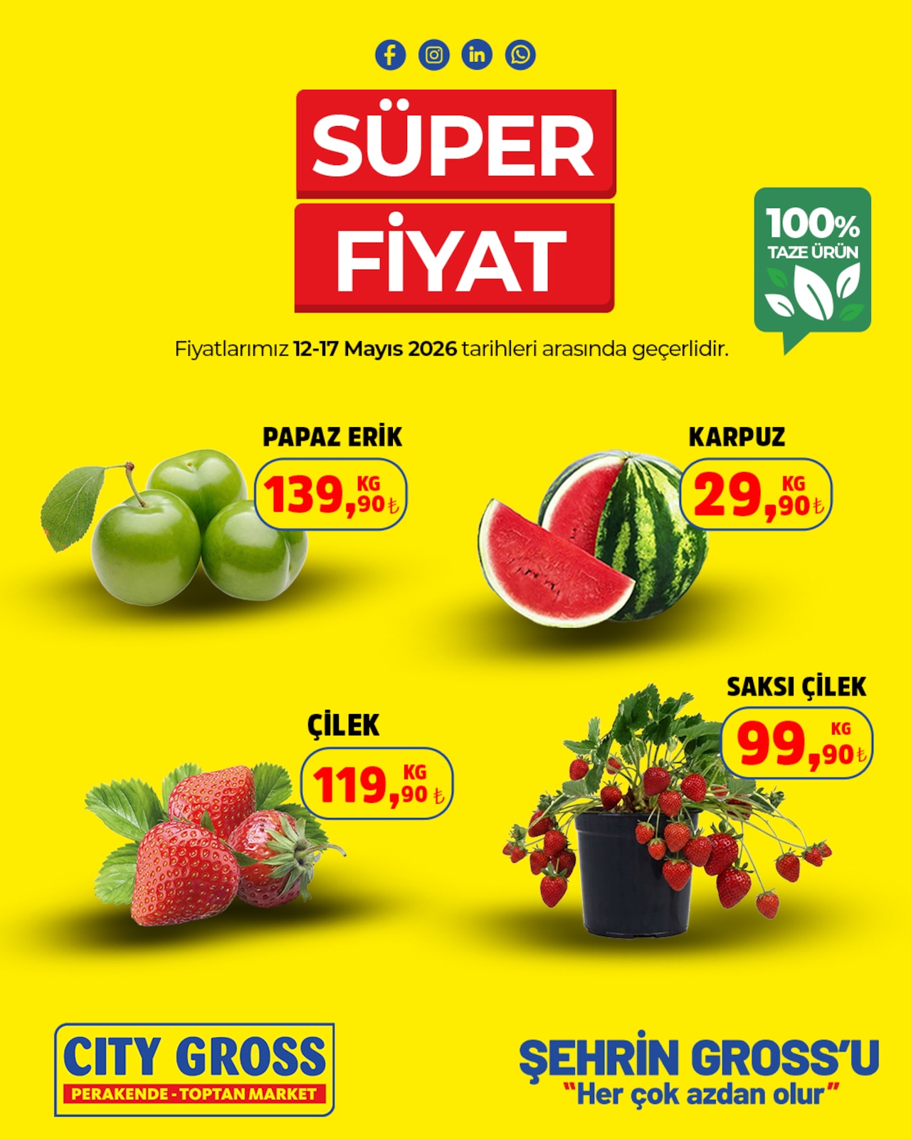 City Gross 12 Mayıs 2026 Aktüel Kataloğu broşürü