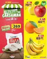 Esenlik Broşür Kapak