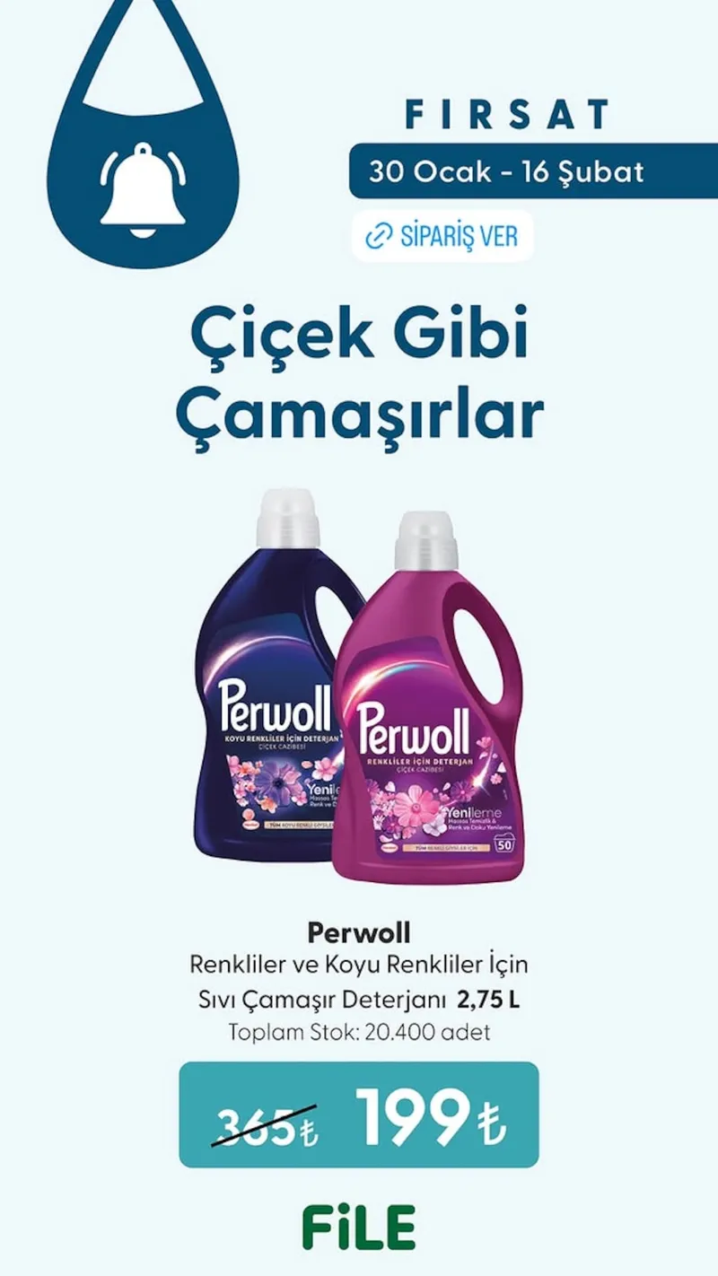 File Broşür Kapak