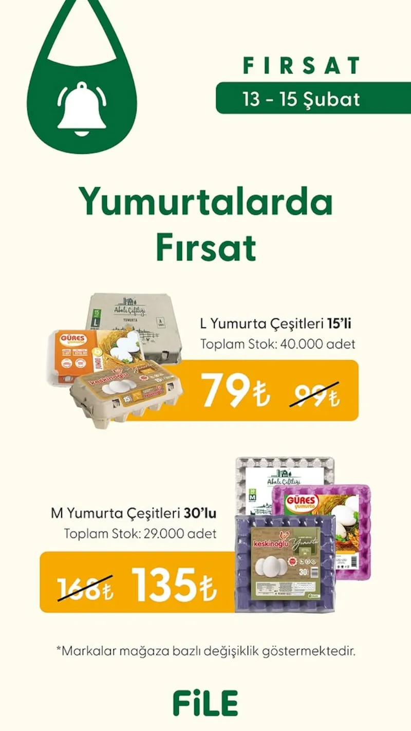 File Broşür Kapak