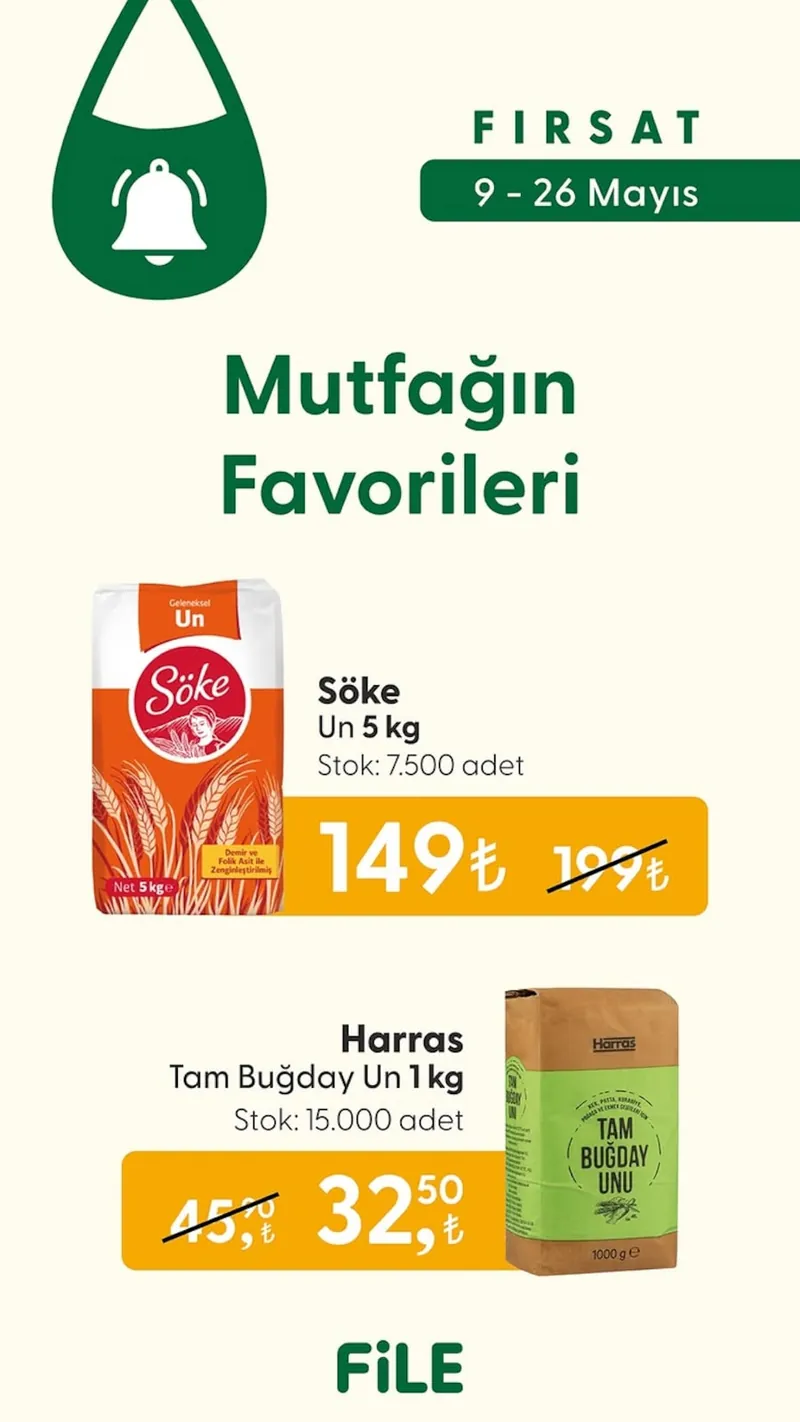 File Broşür Kapak