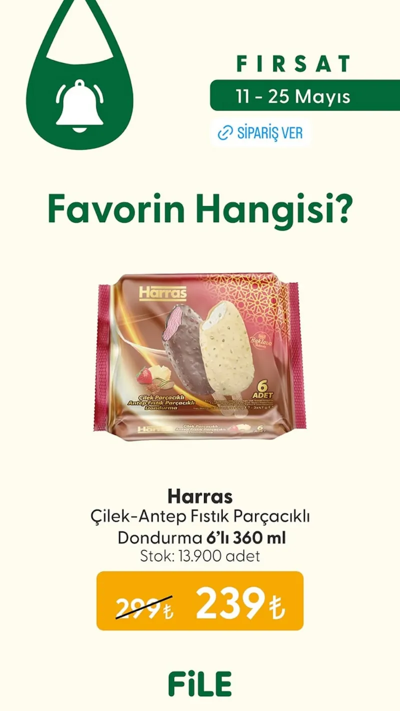 File Broşür Kapak