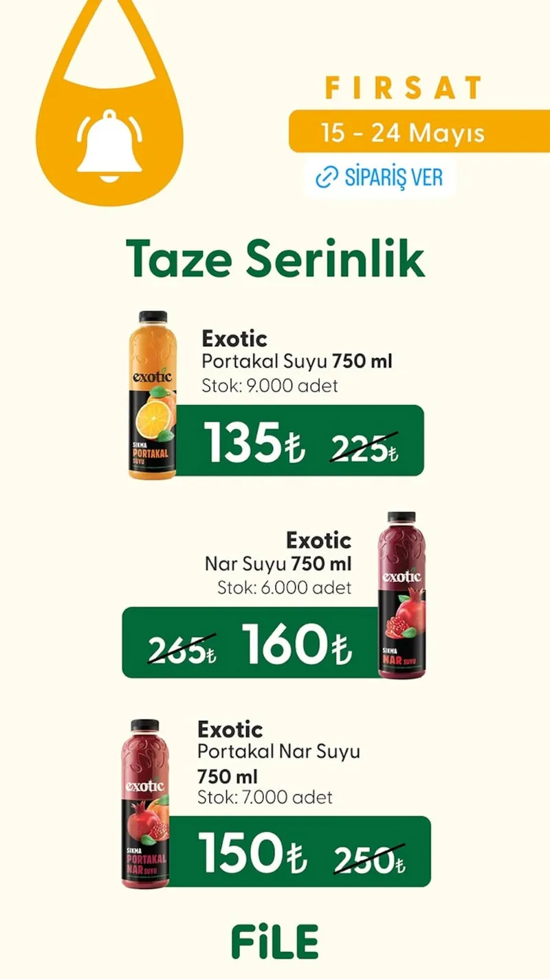 File Broşür Kapak