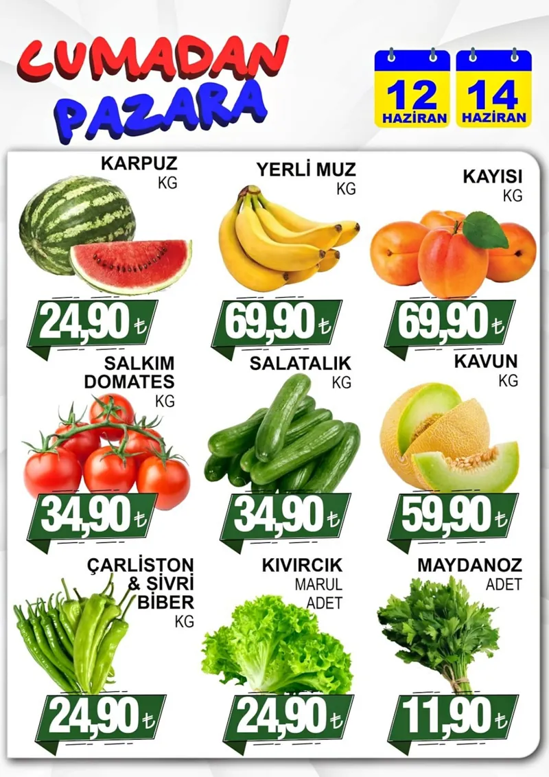 Furpa Broşür Kapak