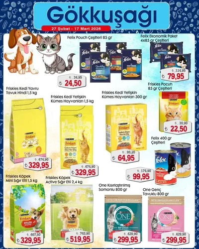 Gökkuşağı Market 27 Şubat 2026 Aktüel Kataloğu27 Şubat - 17 Mart