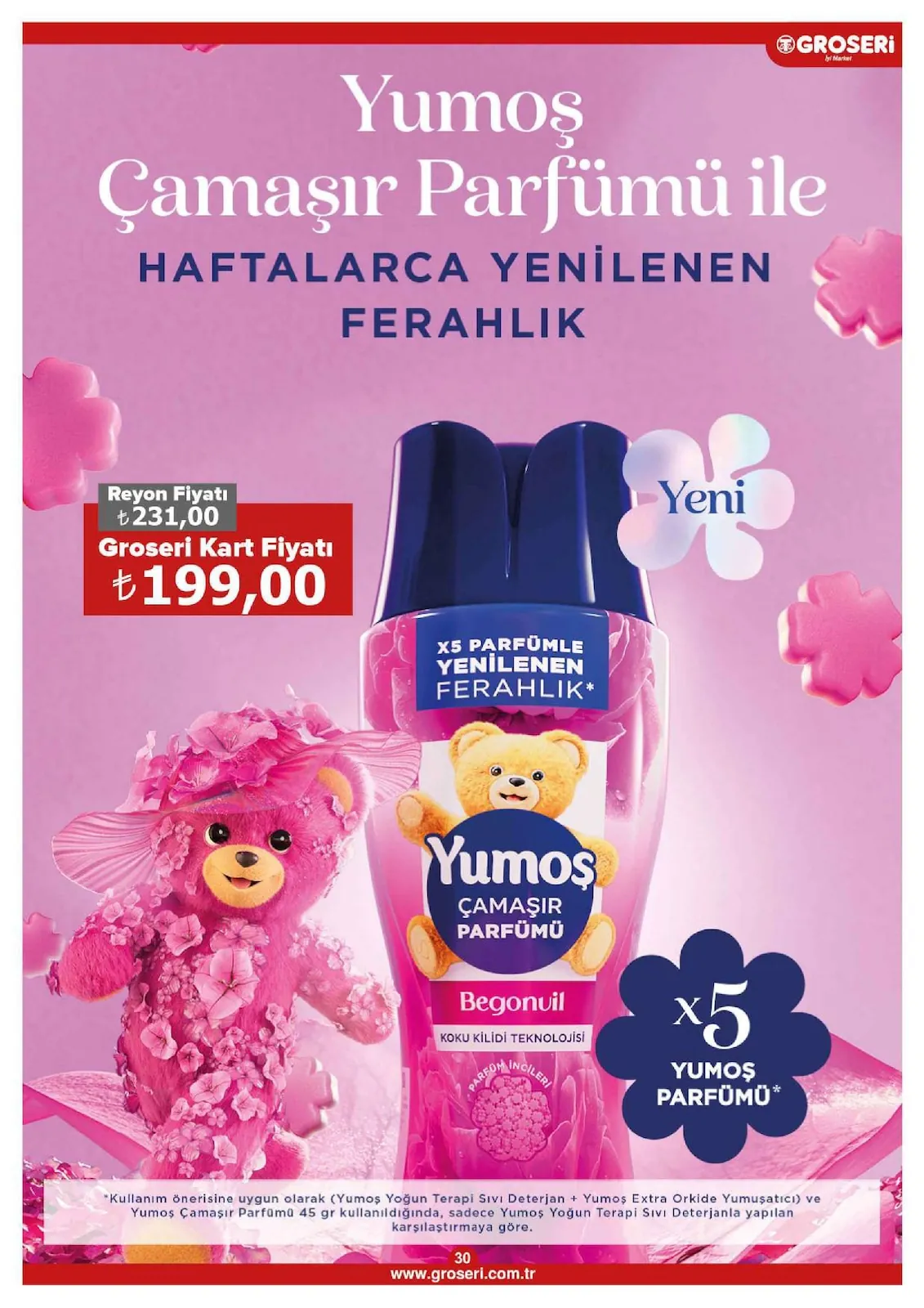 Groseri Sayfa 30