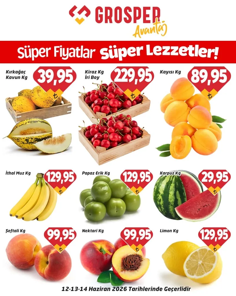Grosper Broşür Kapak