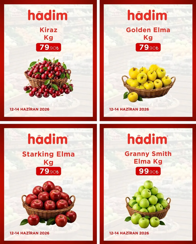 Hadim Broşür Kapak