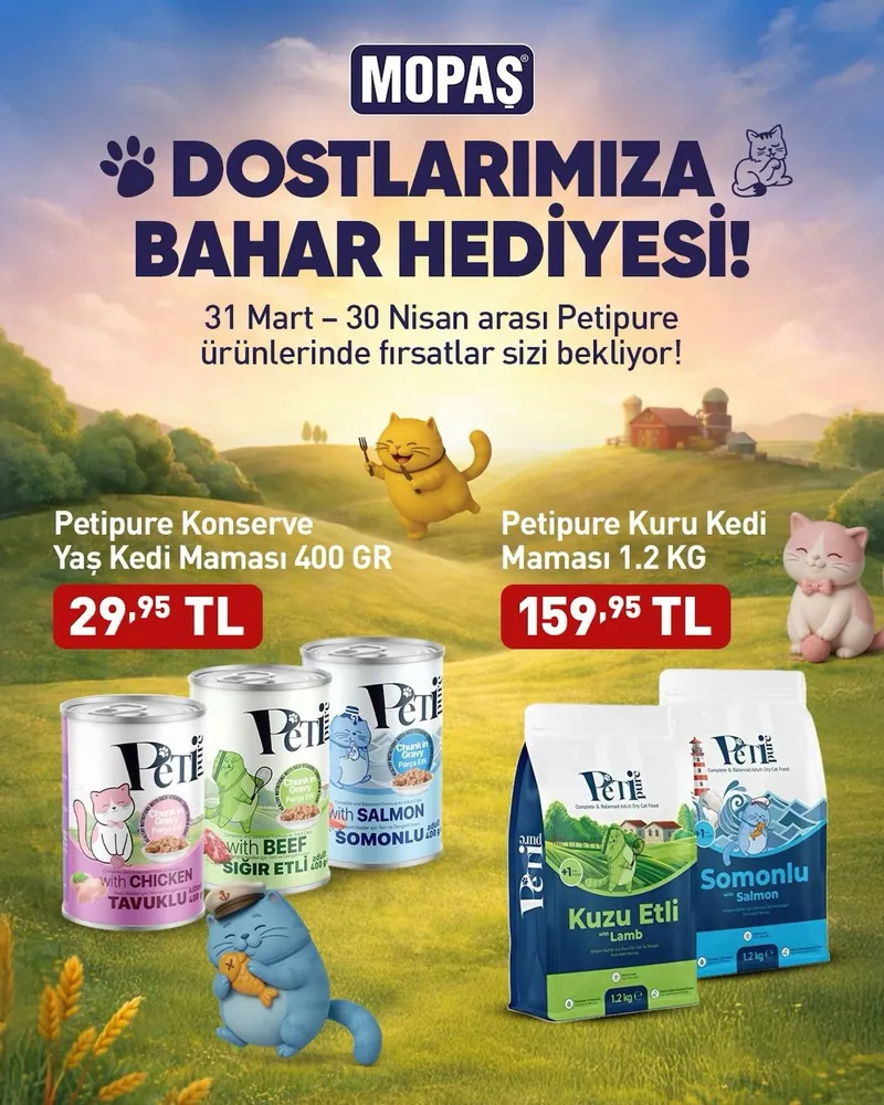 Mopaş Broşür Kapak