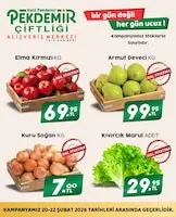 Pekdemir Broşür Kapak