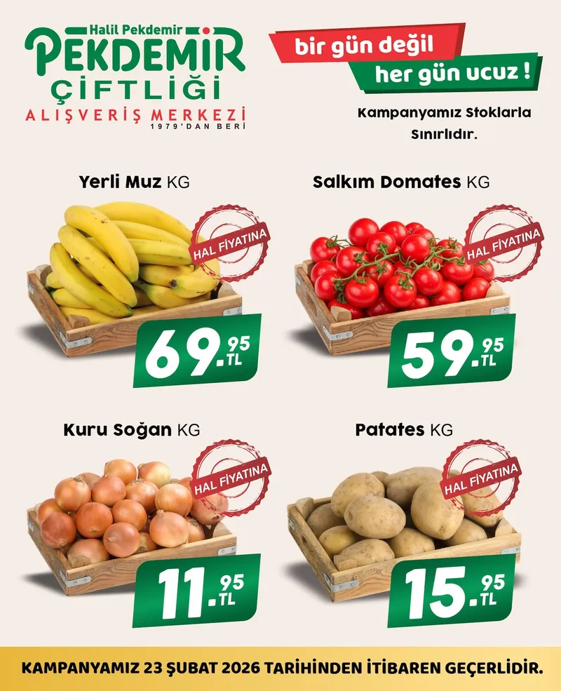Pekdemir Broşür Kapak