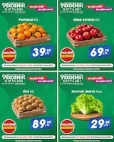 Pekdemir Broşür Kapak