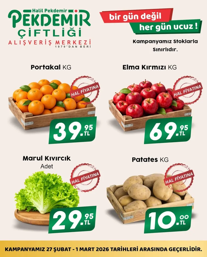 Pekdemir Broşür Kapak