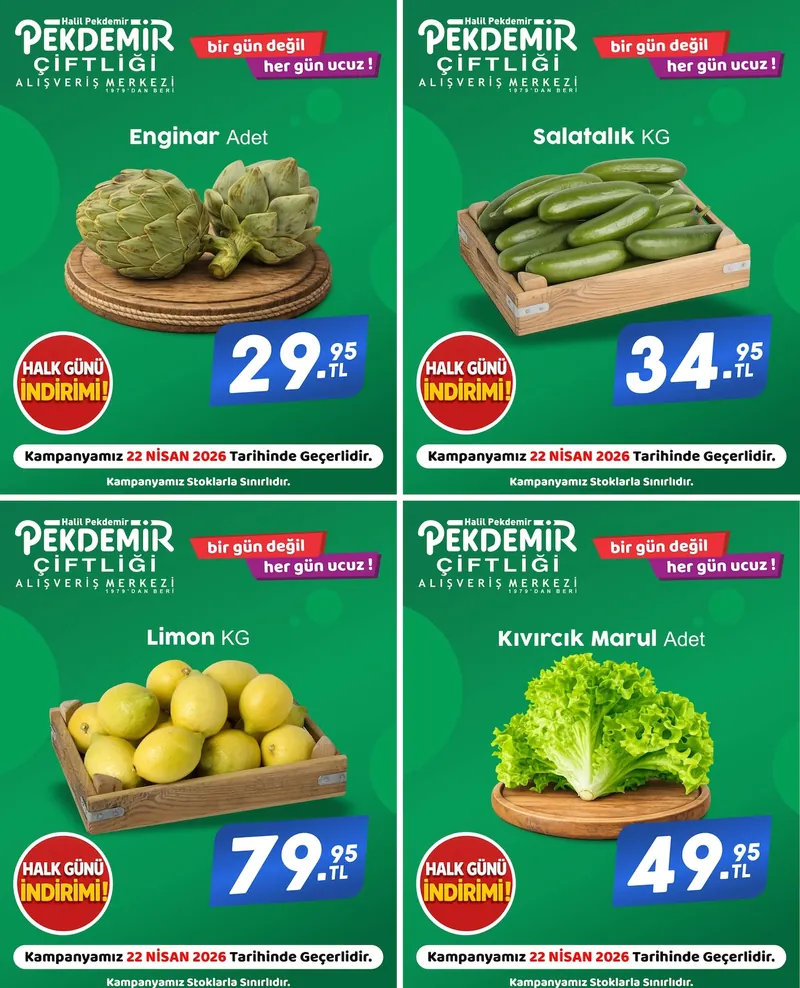 Pekdemir Broşür Kapak