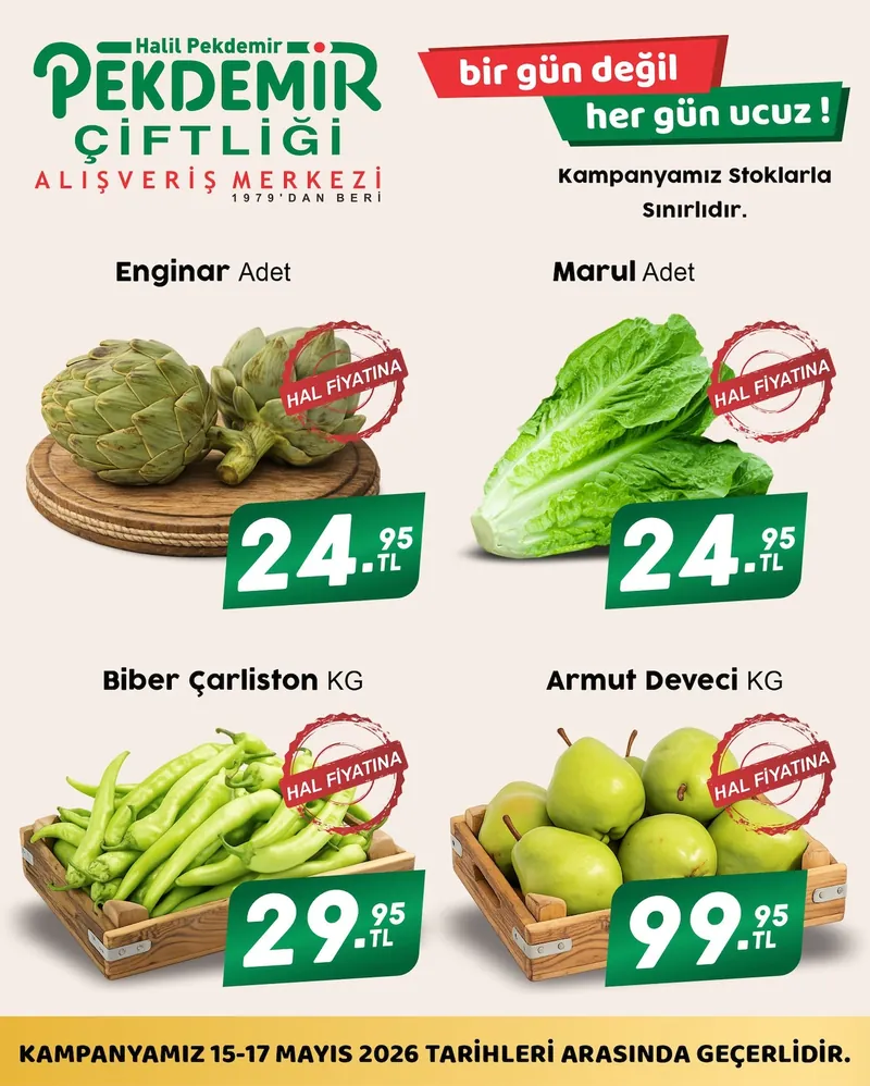 Pekdemir Broşür Kapak
