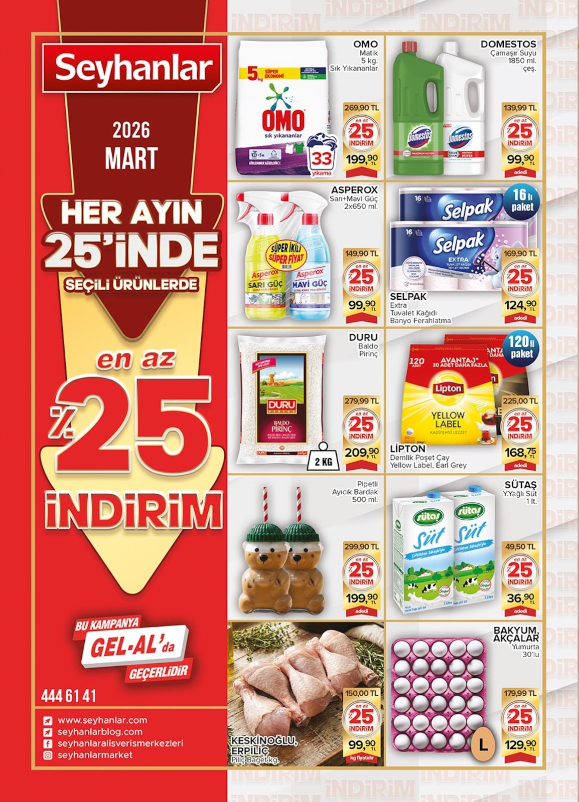 Seyhanlar 25 Mart 2026 Aktüel Kataloğu