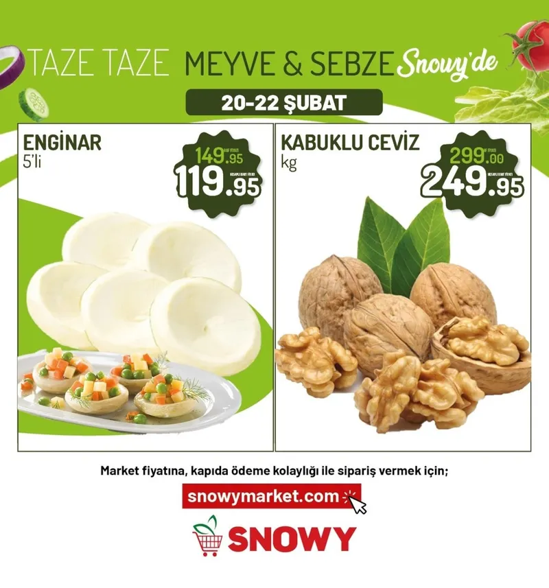 Snowy Broşür Kapak
