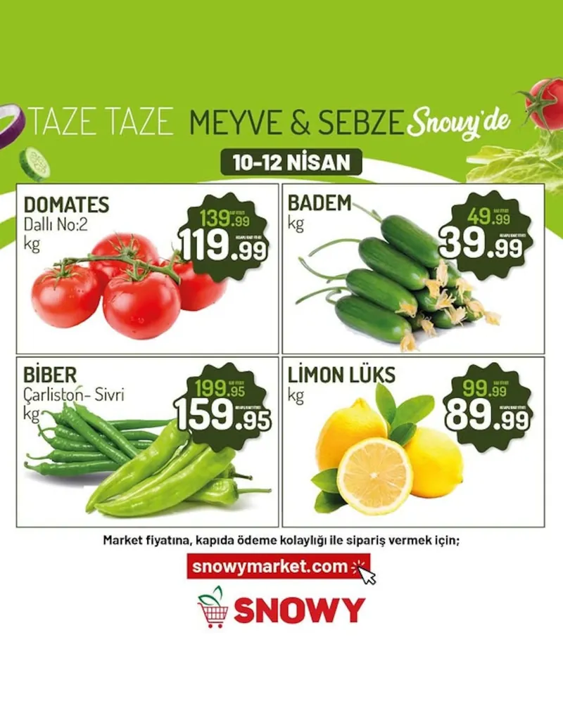 Snowy Broşür Kapak