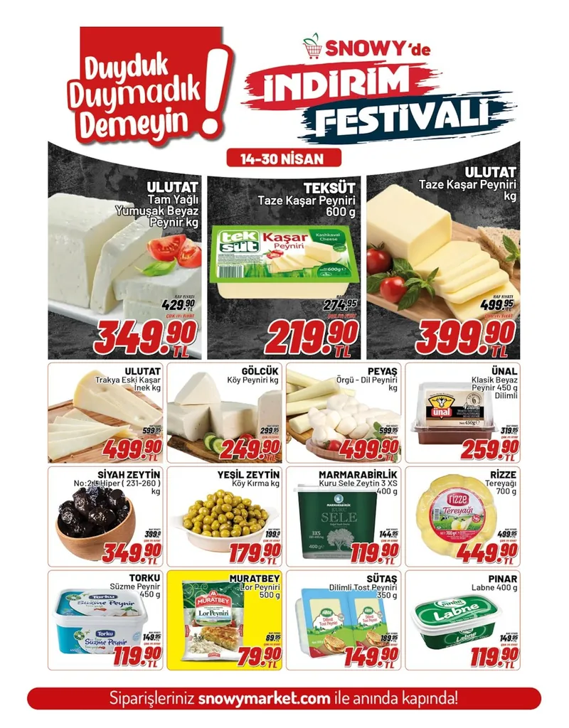 Snowy Broşür Kapak