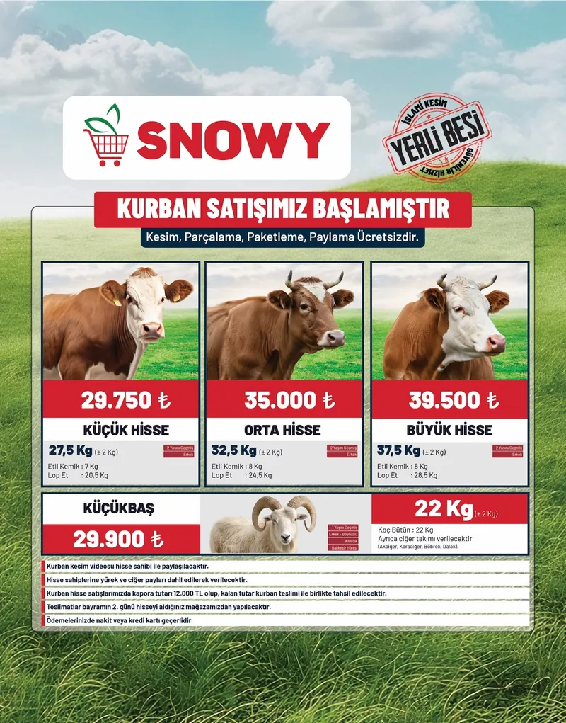 Snowy Broşür Kapak