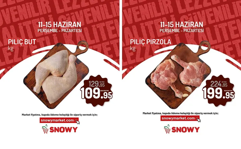 Snowy Broşür Kapak