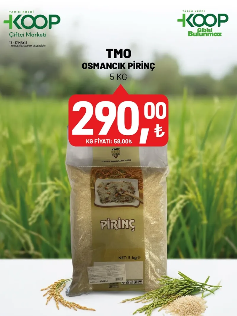 Tarım Kredi Broşür Kapak